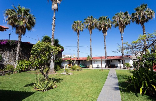 Icod de los Vinos Apartment | Finca La Gaviota - El Granito