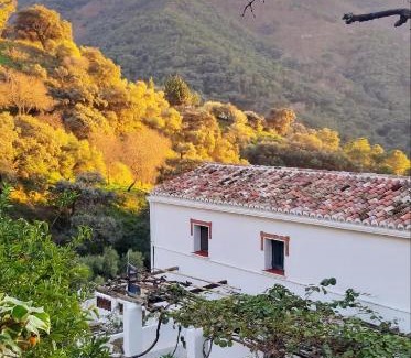 Jubrique House | Finca Riolavar