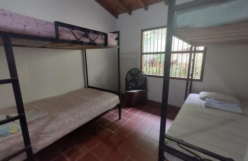 Olaya Villa | Finca salsifue