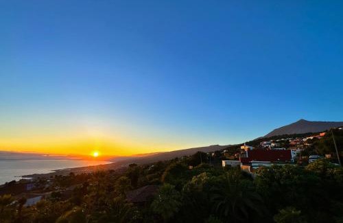 Icod de los Vinos Apartment | Finca Tenerife - Cozy Studio mit Traumblick & tropischem Garten