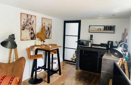 Zandvoort Apartment | Finch guesthouse