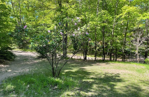 Harshaw Cabin | Find Your Serenity North of the Tension Line!