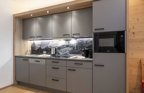 Haus im Ennstal Apartment | Fine apartment with a private sauna and balcony