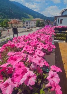 Tarvisio House | Fiocco di Neve