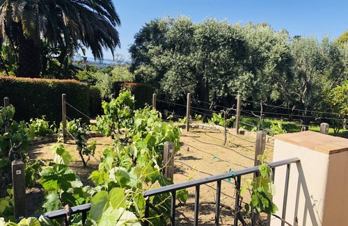 Upper Riviera House | Fiora Della Vita Italian Garden Estate Guest House next to the El Encanto Hotel