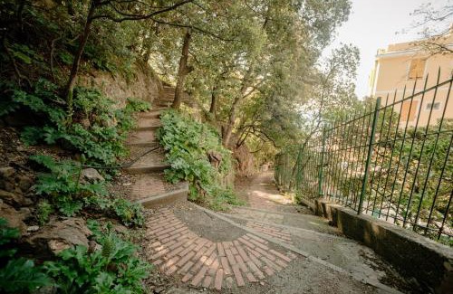 Cinque Terre House | Fiordarancio Room Rental
