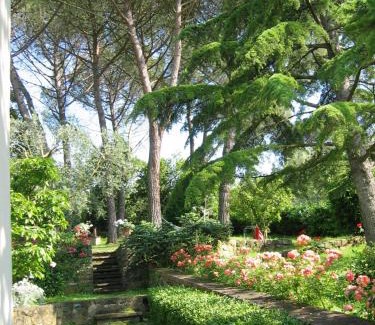 Oltrarno Bed & Breakfast | Fiorenza B&B