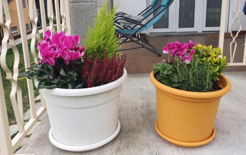 Almese Apartment | Fiori e Frutti Guest Home