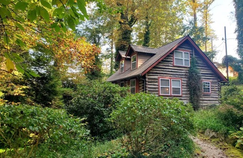 Hendersonville Cabin | Firefly Cabin-1930's Retreat: Bikes, BBQ, walk dtn