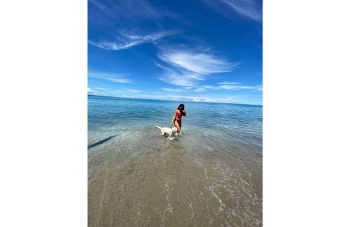 Cahuita House | First Floor Loft Cabin within walking distance of the ocean