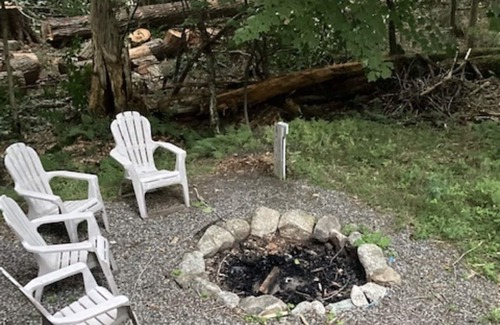 Saranac Lake Cottage | *Fish Creek Cottage*shared beach*3 bdrm*firepit*