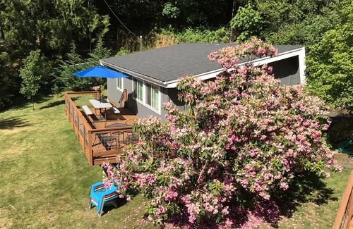 Scottsburg Cabin | Fish, hunt or relax - Riverfront Cozy 2bd Cabin on Umpqua River fenced 1.5 acres