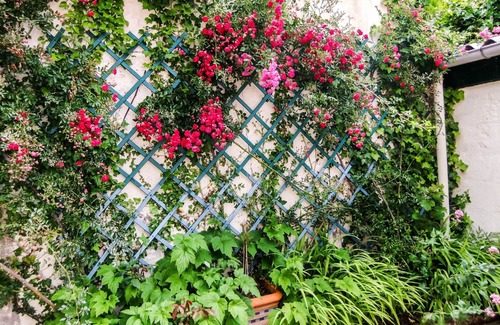 Cancale House | Fisherman's house