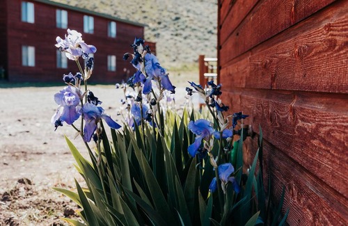 Blaine County Apartment | Fishermen's Getaway! Cozy studio cabin near Silver Creek & Little Wood Reservoir. The Milk House offers 2 twin beds, 3/4 bath, kitchenette. Relax on the porch and enjoy the breathtaking sunrise & scenery!