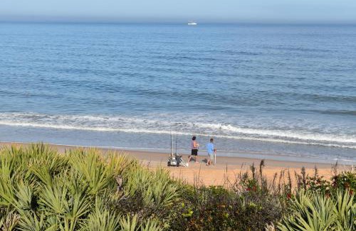 Flagler Beach Apartment | Flagler Beach Motel and Vacation Rentals