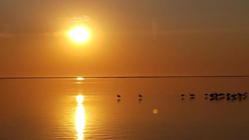 Walvis Bay Apartment | Flamingo Cottage no 12