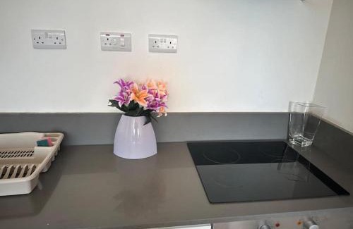 Smethwick Apartment | Flat 303 One bedroom apartment