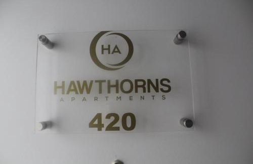 Smethwick Apartment | Flat 420 One bedroom apartment