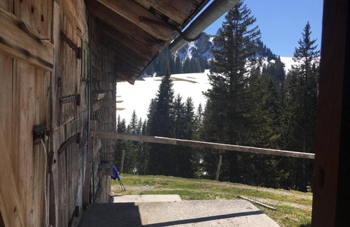 Latterbach Apartment | Flat "Chalet Park" mit Sauna