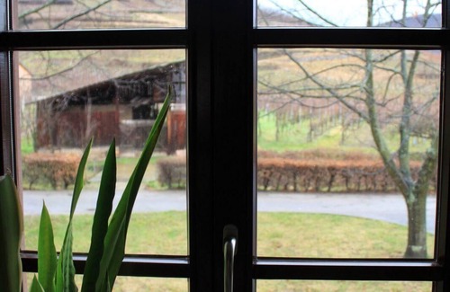 Ammerschwihr House | Flat "Résidence tour des Bourgeois