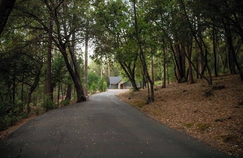 Twain Harte House | Flatlanders Paradise | Family-Friendly Forest View