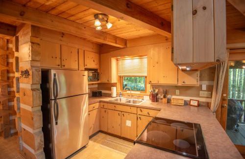 Fleetwood House | Fleetwood Falls Cabin near Boone- Community River & Lake Access, Dogs OK