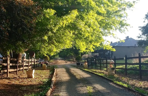 Greater Kokstad Other | Flitwick Ranch, D630, Swartberg, KwaZulu-Natal, South Africa, 4710