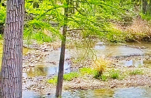 Concan House | Float to your Cabin! Gorgeous River Front, River & Mt. Views, Acreage, Gated.