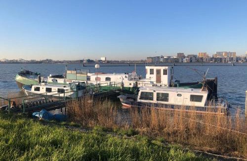 Amsterdam North House | Floating B&B Amsterdam