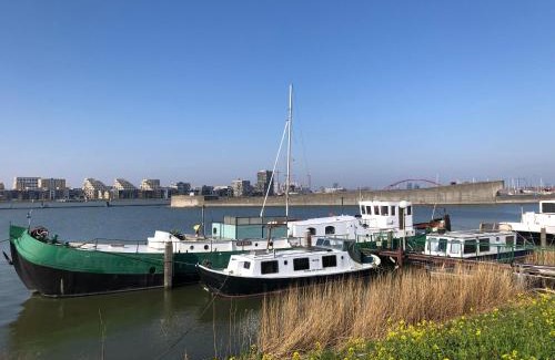 Amsterdam North House | Floating B&B Amsterdam