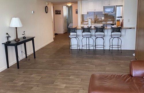 North Pacific Beach Condo | floor to ceiling windows,180 degree view of ocean, 11th floor