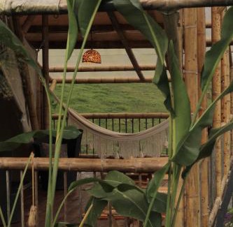 Filandia Other | Flor de Loto - Glamping Filandia