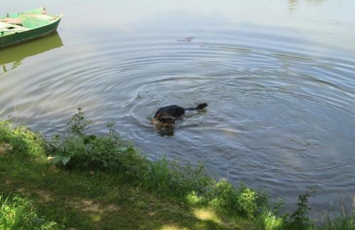 Florennes House | Florennes Gîte neuf 150 M2 devant un grand lac privé de 2 hectares poissonneux au milieu des bois