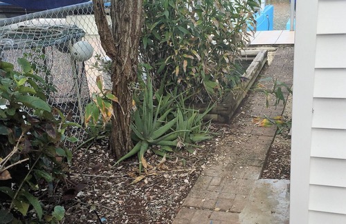 Tavernier House | Florida Keys charming canal front bungalow with boat dock included