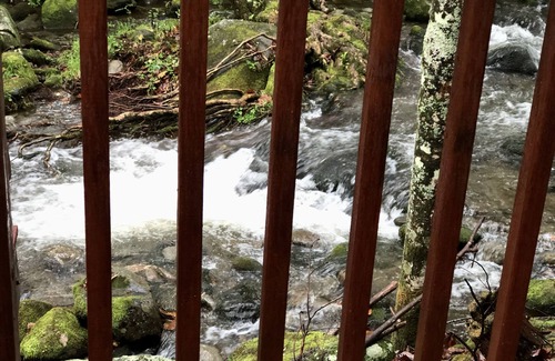 Rocky Grove Cabin | Foot of the Smokies, quiet wooded paradise. Gatlinburg Pigeon Forge