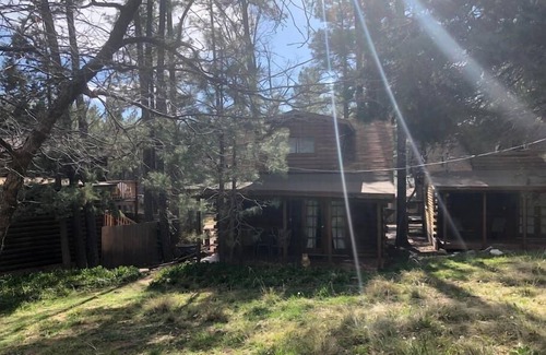 Christopher Creek Cabin | Forest Cabin 3 Bear's Den