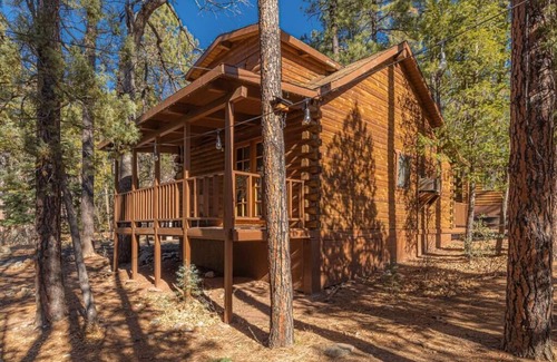 Christopher Creek Cabin | Forest Cabin 6 Enchanted Forest