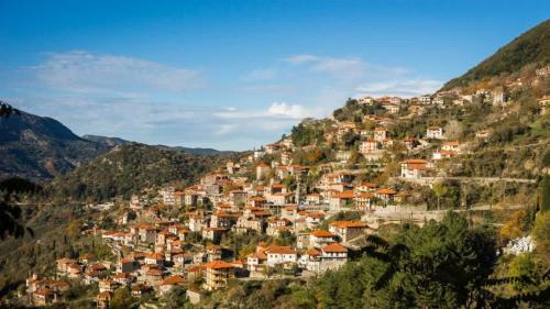 Lagadia Apartment | Forest Cosy House - Lagkadia Amazing View