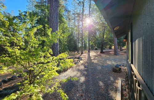 Grass Valley Cabin | Forest Cottage Retreat