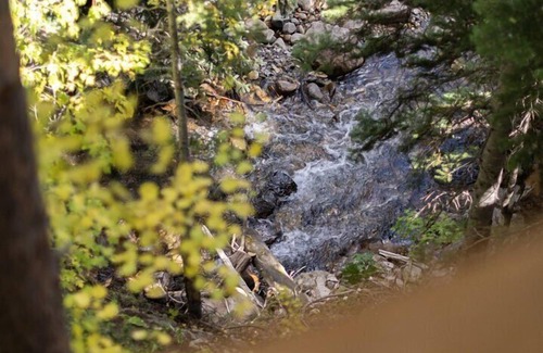 Garfield Cabin | Forest Creek Cabin- Beautiful Mountain Getaway!