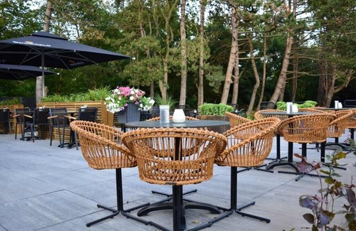 Nieuw-Haamstede Hotel | Forest Escape Room with Beach Access and Free Breakfast