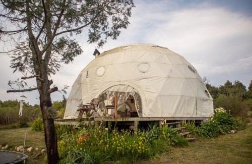 Knysna House | Forest Harmony