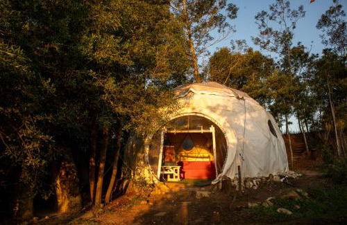 Knysna House | Forest Harmony