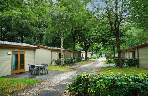Municipality of Amstelveen RV Rental | Forest Lodge 4