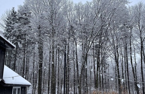 East Haven  Rutland County House | Forest Mountain Escape: Beautiful Mountaintop Escape In Mendon, Vt. 20 Min To Killington/14 To Pico. 4 Bedroom Home