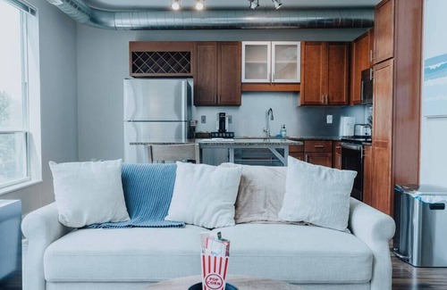 DeBaliviere Place Apartment | Forest Park Penthouse | 2 BR Loft Pool Balcony Free Parking
