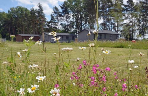 Ryther Apartment | Forest Retreat - With Hot Tub - Dog Friendly