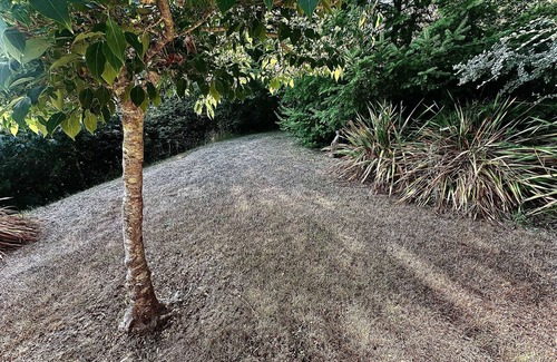 Coos Bay House | Forest Ridge Retreat- near Coos Bay, OR
