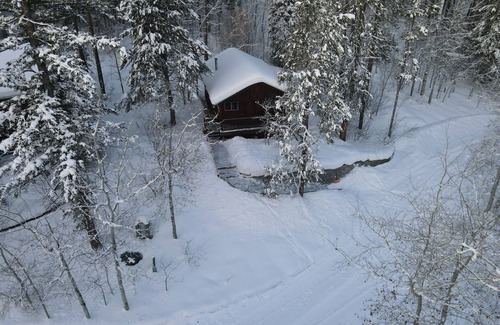 Victor Cabin | Forget Me Not Cabin in the Woods. Wood Stove, Wifi, W/D. Pet Friendly!