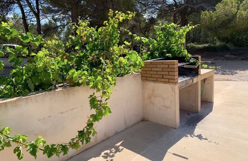 Sant Francesc Xavier Apartment | Formenteranatural. Rural apartment 2 km from Sant Francesc.